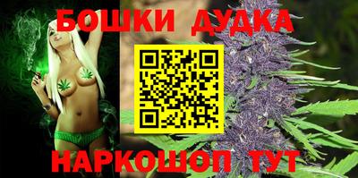 мдпв Пушкино