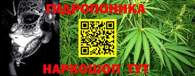 мдпв Пушкино