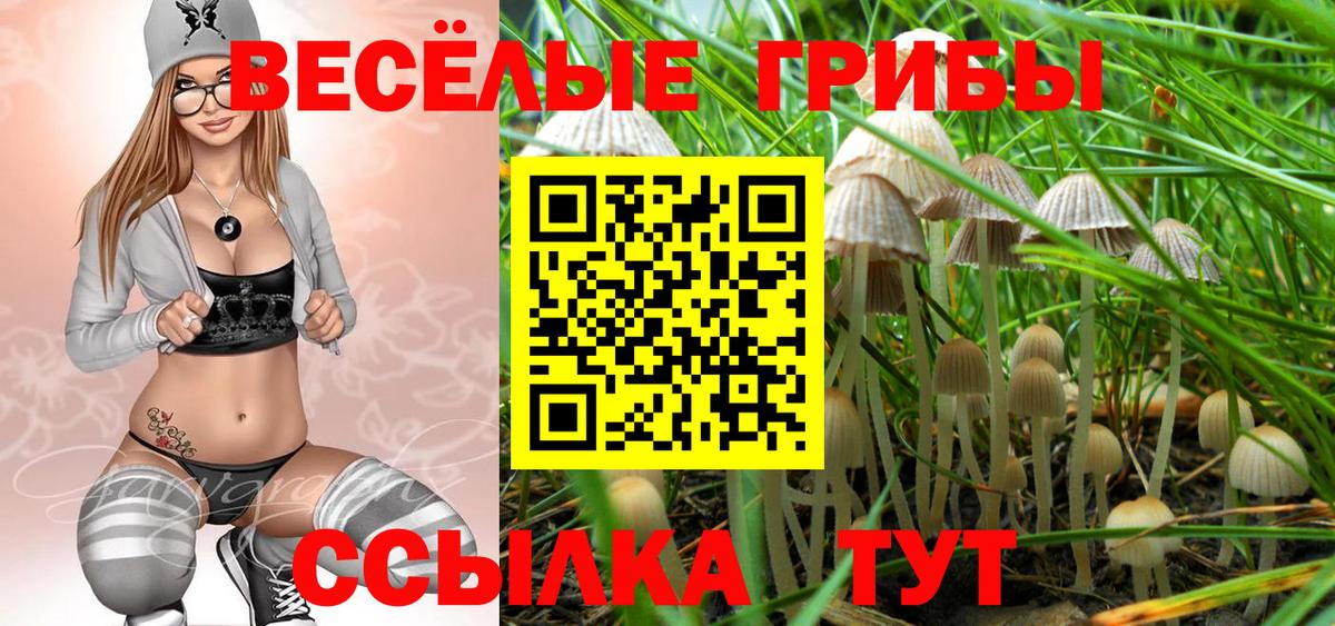 Псков  Галлюциногенные грибы MAGIC MUSHROOMS  Вход с VPN 